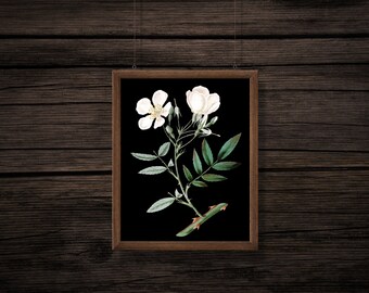 Rose Wall Decor rose wall decor | etsy Rose Wall Decor rose wall decor | etsy