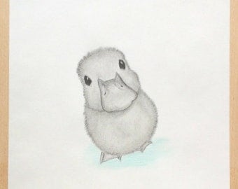 cutebaby duck sketches in pencil