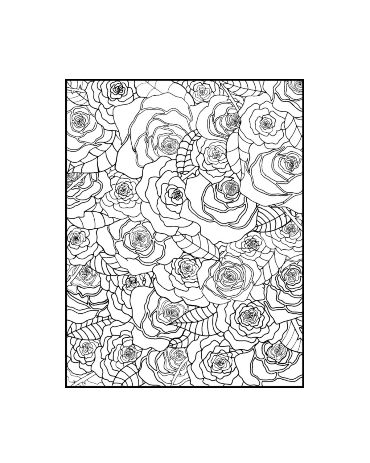 Rose Garden Adult Coloring Page Instant Download