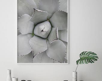 Succulent plant print, succulent poster, scandinavian art, digital print, Botanical Print, Nature Print, Green Leaf Print, Greenery Print