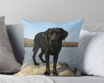 black lab fall pillow