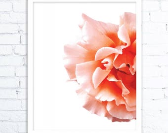 Wall Art, Flower Art, Wall Art Prints , Flower Wall Art, Digital Art Print, Art Prints, Digital Download Art, SUMMER 2017 Wall Art