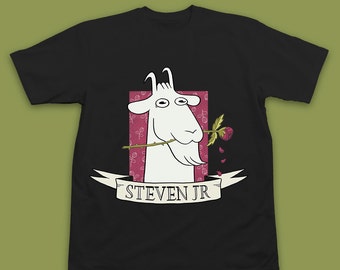Steven Universe Shirt Steven Jr. Steven Universe T-Shirt - Steven Universe T Shirt - Steven Universe Steven Jr. Inksterinc Steven Universe