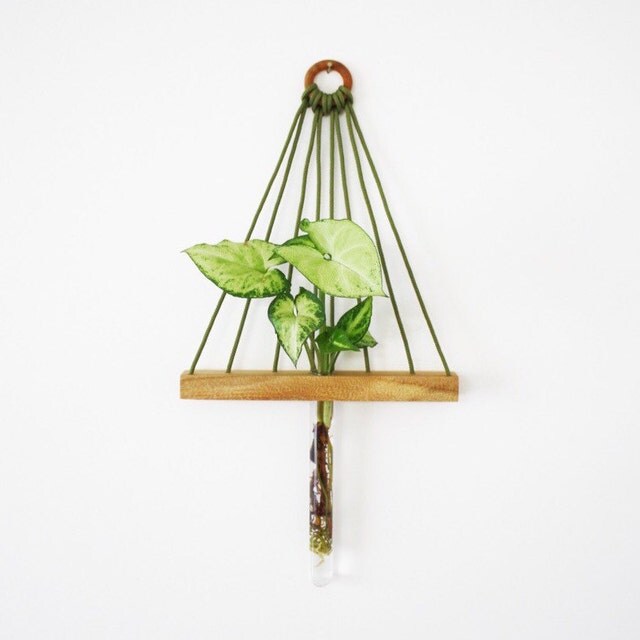 Reclaimed wood hanging vases sustainable by kirraleeandco on Etsy