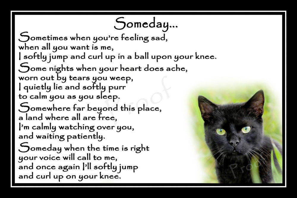 Black Cat Photo Memorial Gift Mounted Poem 9 x 6