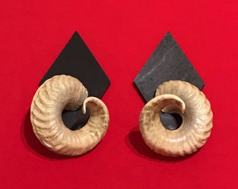 Real ram horns on medallions