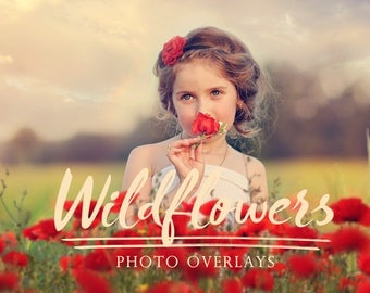 28 Wildflowers photo overlays, summer photo overlays, flowers photo overlays, PNG overlays