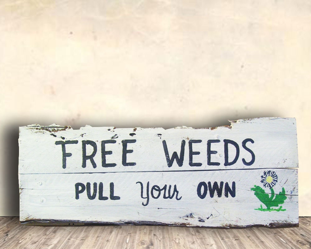 Garden Signs Whimsical Signs Shabby Chic Signs Weed