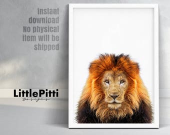 Lion print, african print, safari nursery print, lion download, lion photography, boys room print, lion nursery decor, safari decor, 18x24