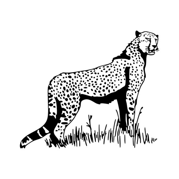 Download Cheetah Leopard graphics design SVG DXF EPS by ...