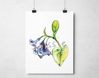 Original Print: Bluebells