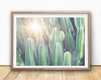Cactus Wall Art cactus print large cactus wall art digital print pastel Cactus Wall Art cactus print large cactus wall art digital print pastel