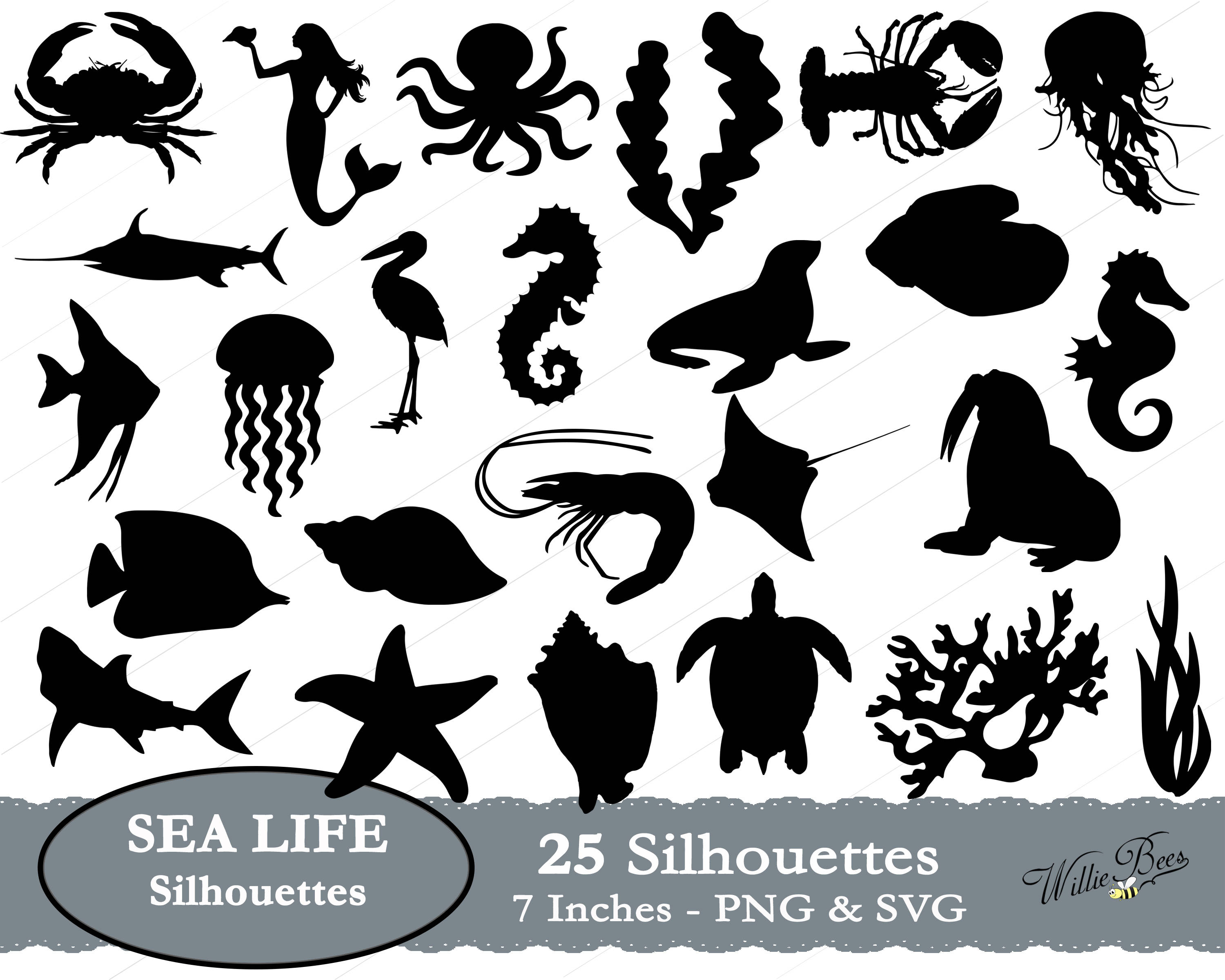 Free Free Sea Life Svg Free 163 SVG PNG EPS DXF File