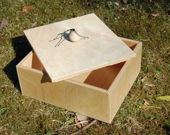 Plywood BOX WITH HANDLE