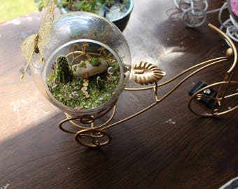 Miniature fantasy garden