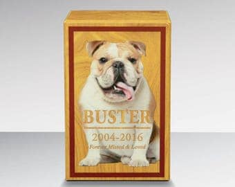 Customized simplicity pet urn with photo