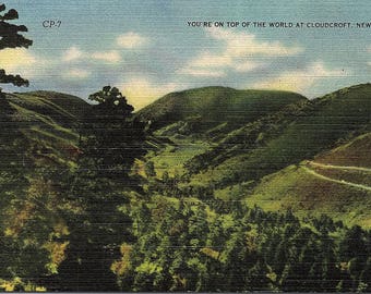Cloudcroft, New Mexico - Linen Postcard - Vintage Postcard - Postcard - Unused (W)