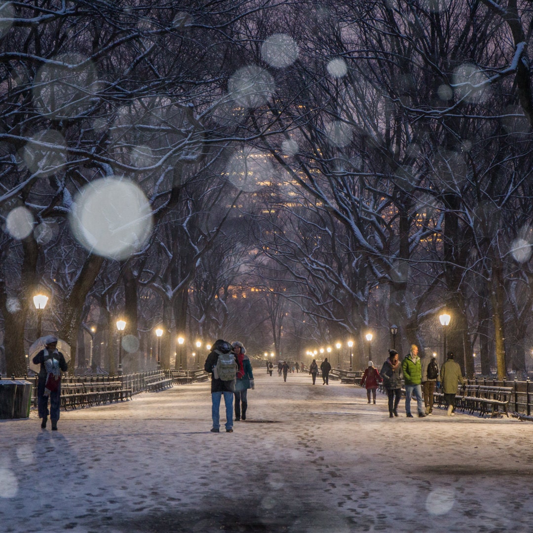 Snowfall at Central Park Mall NYC Winter at Night New York