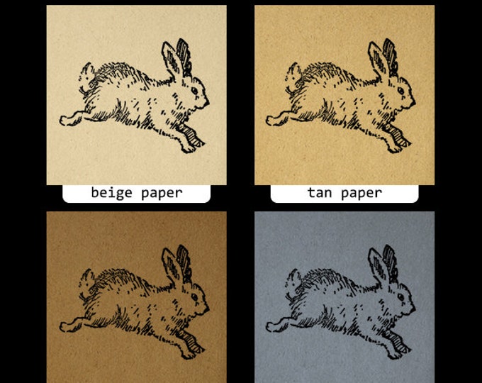 Cute Bunny Printable Image Digital Rabbit Illustration Download Printable Bunny Graphic Vintage Clip Art Bunny Jpg Png Eps HQ 300dpi No.2382