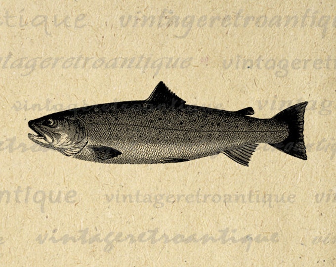 Digital Image Trout Printable Fish Graphic Fishing Artwork Fish Image Download Illustration Vintage Clip Art Jpg Png Eps HQ 300dpi No.4161
