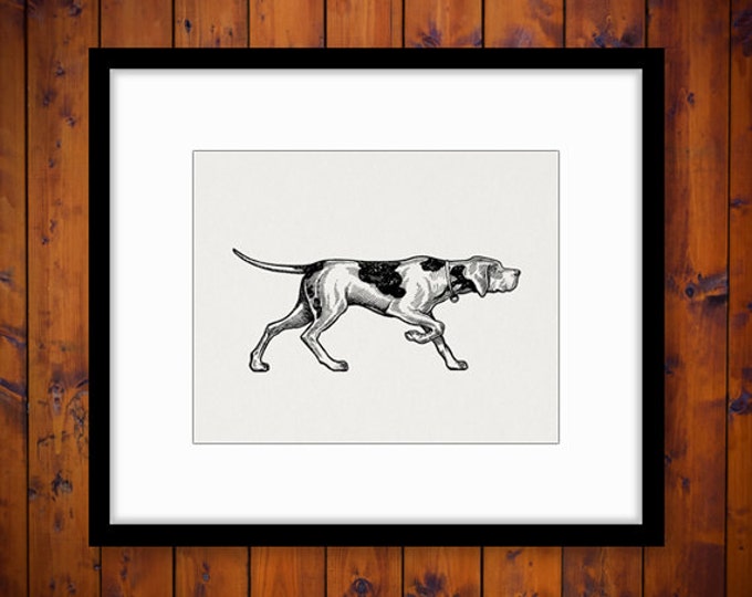 Printable Image Antique Dog Download Illustration Digital Graphic Vintage Clip Art Jpg Png Eps HQ 300dpi No.1407