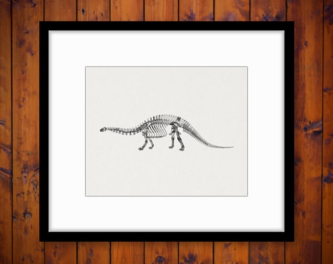 Digital Dinosaur Skeleton Brontosaurus Image Graphic Printable Download Antique Clip Art Jpg Png Eps HQ 300dpi No.2089