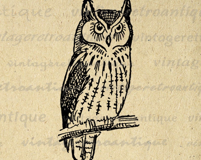 Antique Owl Image Graphic Digital Bird Printable Illustration Download Vintage Clip Art Jpg Png Eps HQ 300dpi No.956