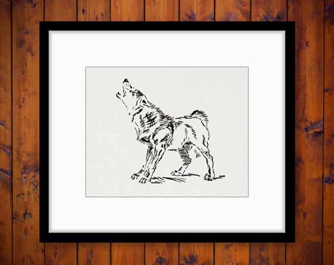 Printable Graphic Howling Wolf Image Illustrated Download Digital Antique Clip Art Jpg Png Eps HQ 300dpi No.1174