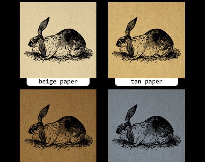 Antique Bunny Rabbit Image Digital Graphic Download Printable Artwork Vintage Clip Art Jpg Png Eps HQ 300dpi No.2742