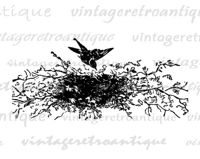 Printable Image Bird with Birds Nest Digital Birdnest Illustration Graphic Download Vintage Clip Art Jpg Png Eps HQ 300dpi No.2436