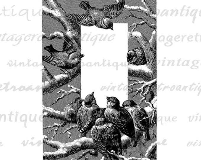 Birds Frame Digital Graphic Printable Bird Border Image Download Antique Clip Art Jpg Png Eps HQ 300dpi No.3294