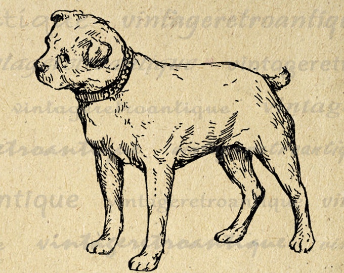 Dog Antique Graphic Digital Printable Download Image Jpg Png Eps HQ 300dpi No.280