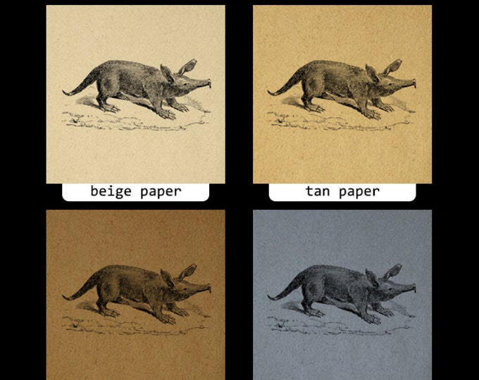 Printable Graphic Aard-Vark Image Aardvark Digital Download Vintage Clip Art Jpg Png Eps HQ 300dpi No.084