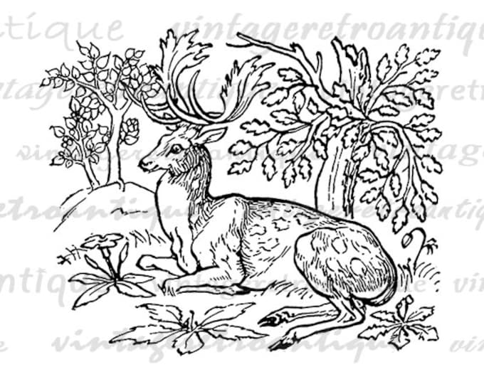 Printable Image Antique Deer Digital Illustration Graphic Download Vintage Clip Art Jpg Png Eps HQ 300dpi No.1706