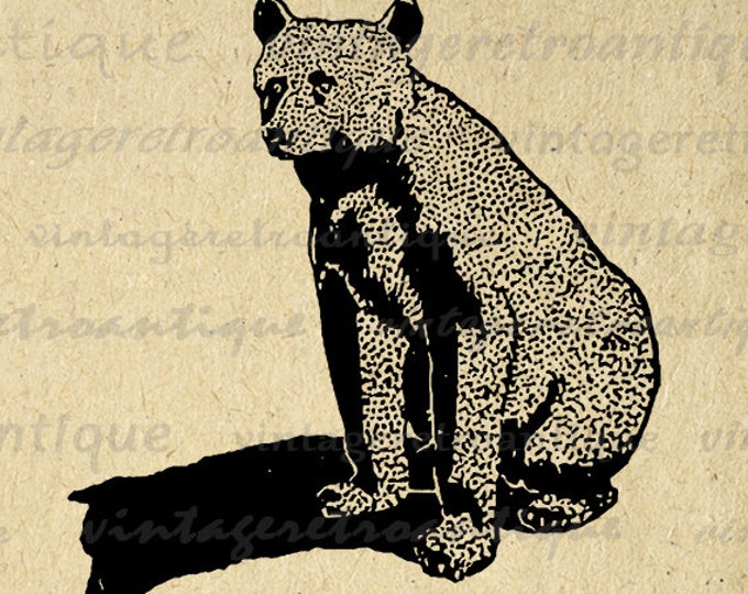 Antique Bear Digital Graphic Image Animal Download Printable Vintage Clip Art Jpg Png Eps HQ 300dpi No.434