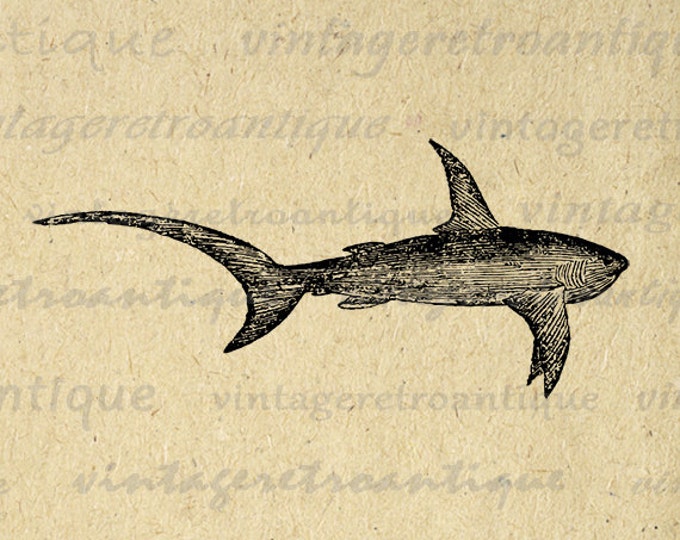 Swimming Shark Printable Digital Image Download Graphic Antique Clip Art Jpg Png Eps HQ 300dpi No.578