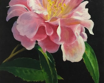 Camellia, oil painting, flower painting, oringinal painting