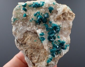 Dioptase crystals on matrix from Kaokoveld, Namibia - 169gm / 60mm x 70mm x 34mm (F21014)