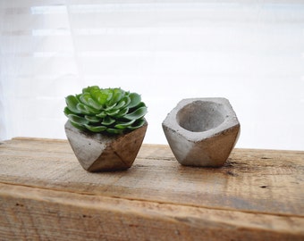 ONE Mini Geometric Concrete Planter Cement Planter Succulent Planter Stone Planter Minimalist Mini Planter Concrete Vase Angled Planter