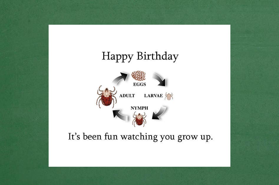 Birthday Card 17th Birthday Card 16th Birthday Card 15th