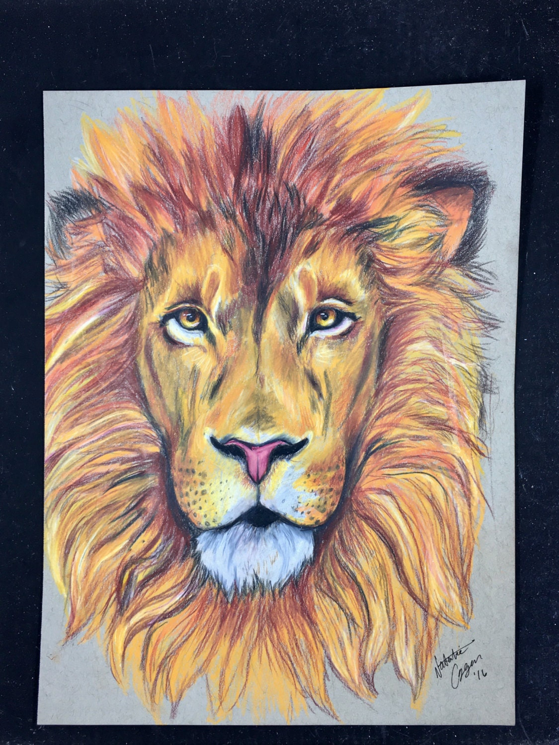Lion Colored Pencil Drawing
