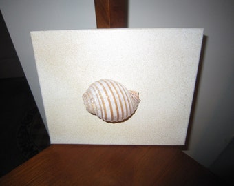 Coastal Decor, Green, Sea Shells, Beach Decor, Nautical Home Decor, Beachy Home Decor, Shell Art, Wall decor,