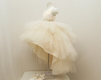 Champagne Girls Dress| Princess Tutu Dress, Layered Tutu Dress, Baby Princess Gown, Tulle Girls Dress, Light Khaki High Low Girls Dress