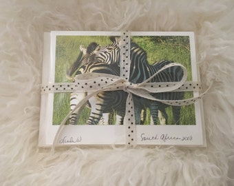 African Safari Collection