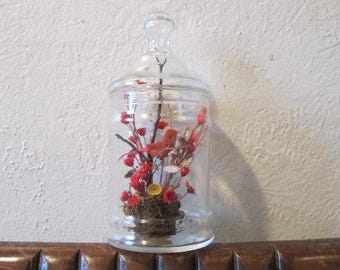 Unique 70s Apothecary Jar with Bird Scene