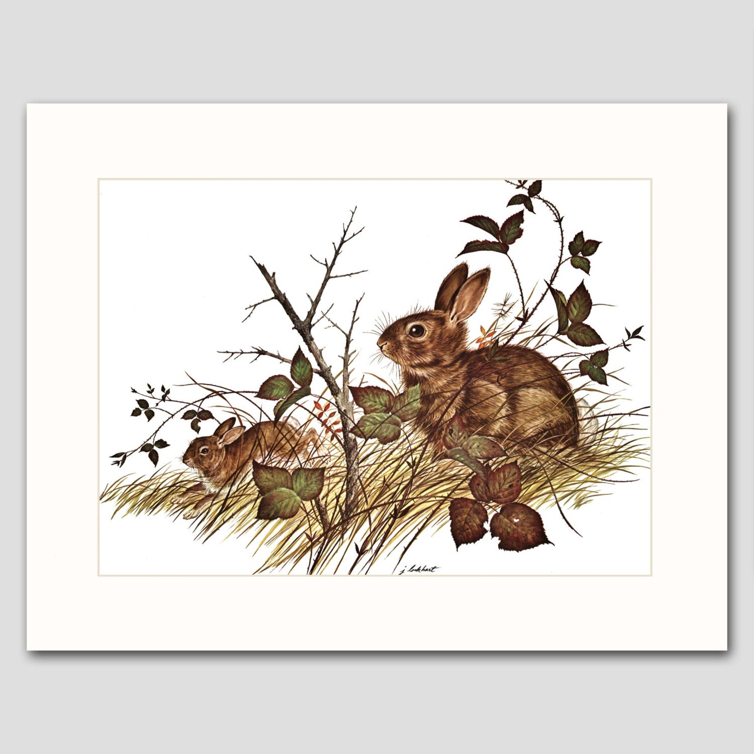 Rabbit Art Print w/Mat Vintage Matted Animal Artwork