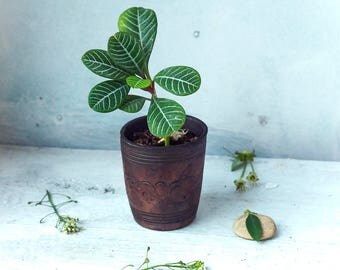 Flower Pot - Flower Planter - Ceramic Planter - Ceramic Plants Pot - Flower Planter Pot - Small Planter - Rustic Decor - Ceramic Decor