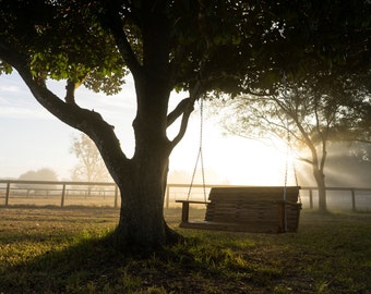 Bench Swing on Ocala Ranch