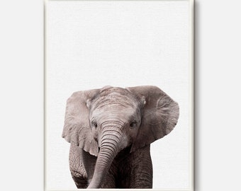 Elephant Print, Baby Animals Wall Art, Elephant Photo, Safari Print, African Animal, Modern Nursery Decor, Printable Art,Kids Room Poster