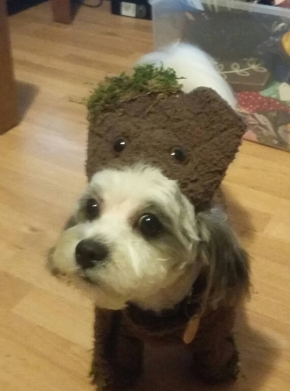 Guardian of the Galazy Groot Groot dog costume